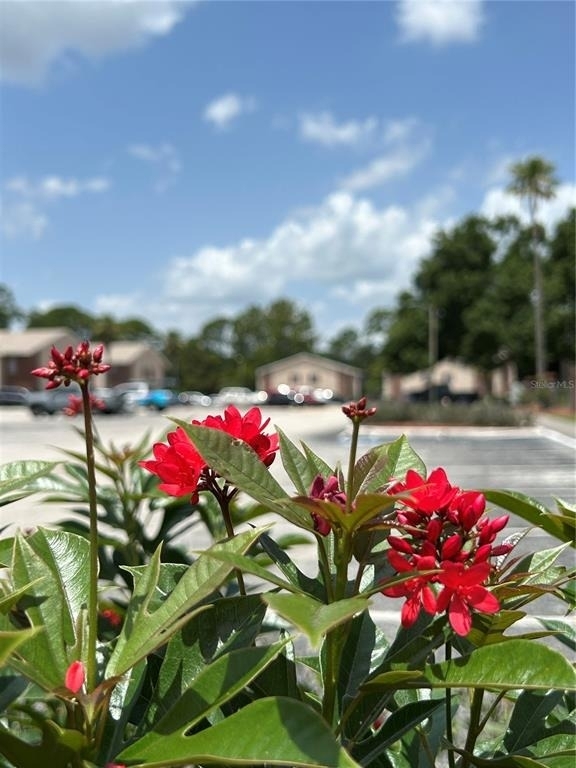 21027 Voyager Boulevard - Photo 22