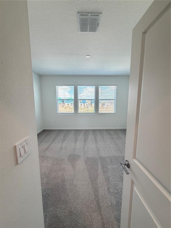 6017 Wellbeing Way - Photo 28