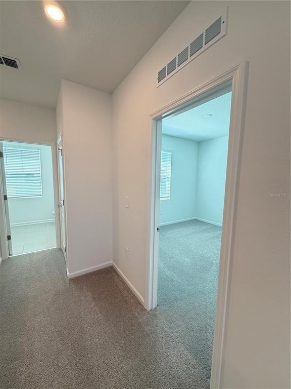 6017 Wellbeing Way - Photo 44