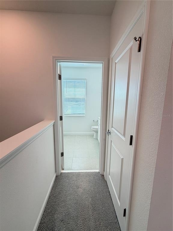 6017 Wellbeing Way - Photo 47