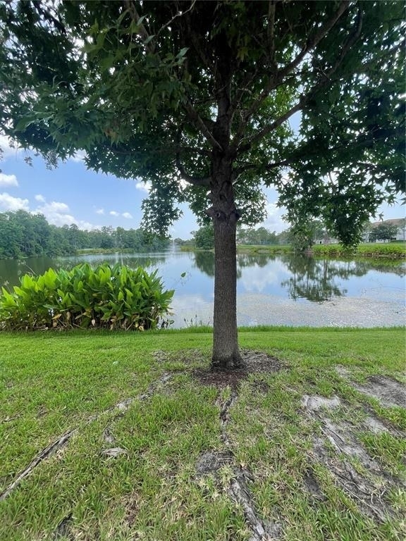 13536 Turtle Marsh Loop - Photo 20