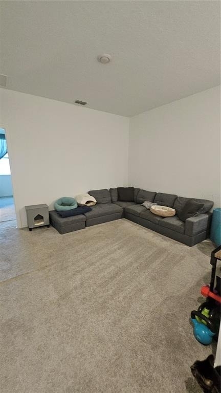15384 Willow Arbor Circle - Photo 6