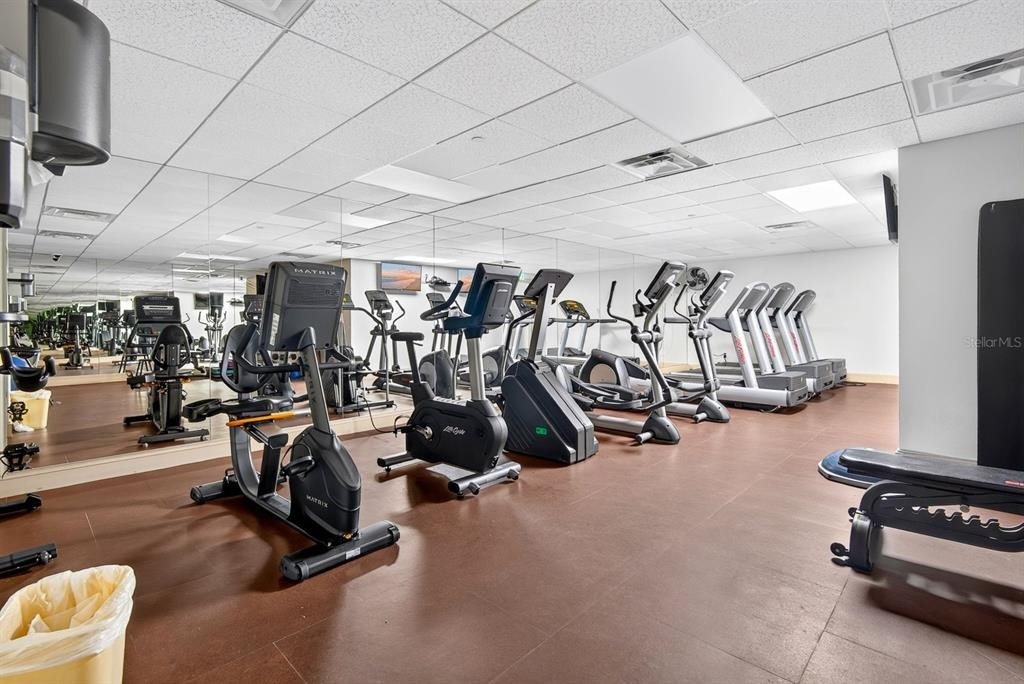 345 Bayshore Boulevard - Photo 39