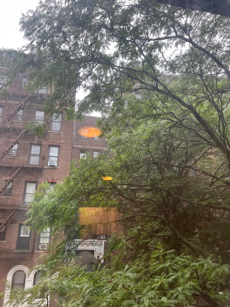 East 84th Street - Photo 4