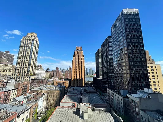 East 49th Street - Photo 7