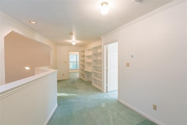 2411 Cross Timbers Trail - Photo 25
