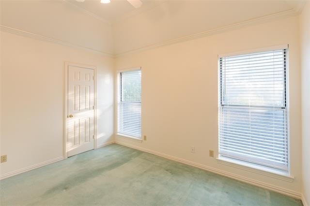 2411 Cross Timbers Trail - Photo 26