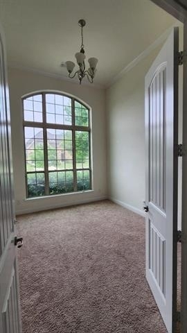 3141 Impala Trail - Photo 9