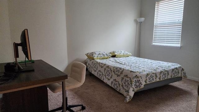 3141 Impala Trail - Photo 15