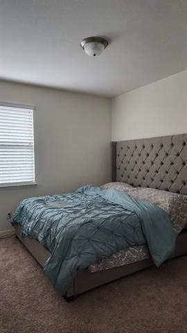 3141 Impala Trail - Photo 16
