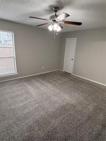 2011 Lavon Creek Lane - Photo 17