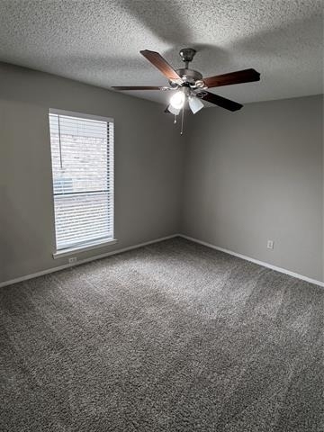 2011 Lavon Creek Lane - Photo 13