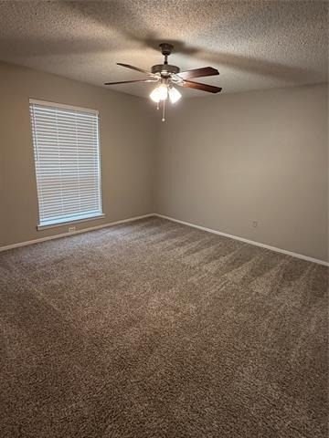 2011 Lavon Creek Lane - Photo 10
