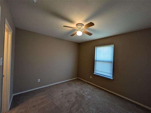 4115 Indian Paintbrush Lane - Photo 21