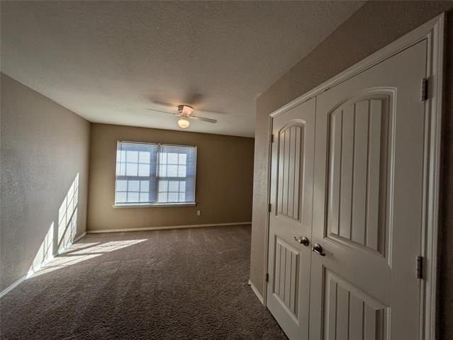 4115 Indian Paintbrush Lane - Photo 14