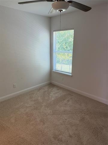 3511 Elm Grove Road - Photo 3