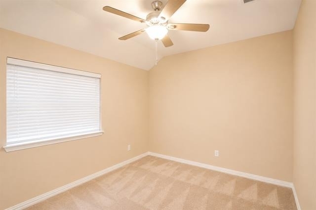 9829 Lightcatcher Drive - Photo 19