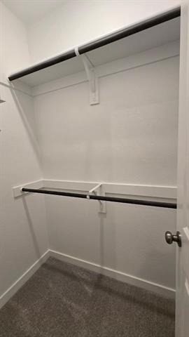 1356 Saddle Sky Trail - Photo 6