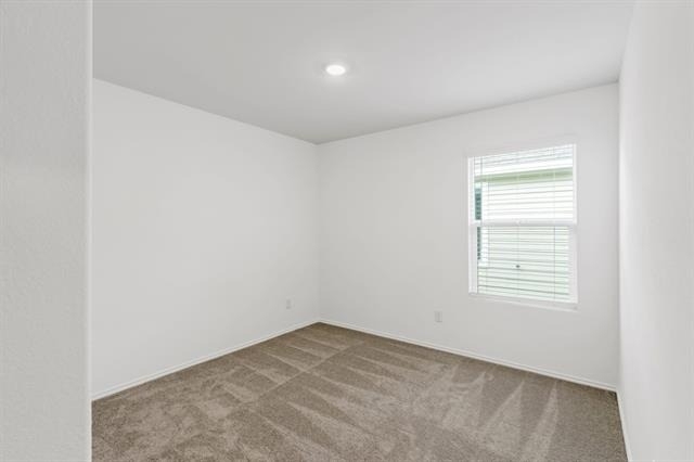 7109 Gray Wolf Lane - Photo 11