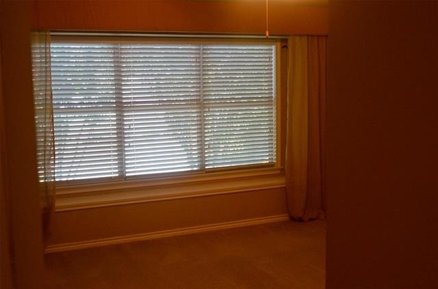 981 Crockett Drive - Photo 16