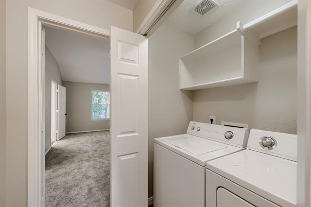 11 Wineberry Place - Photo 19