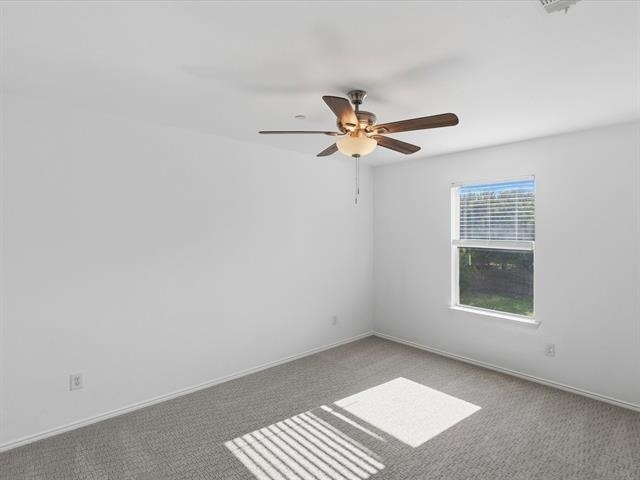 5924 Lost Valley Drive - Photo 23