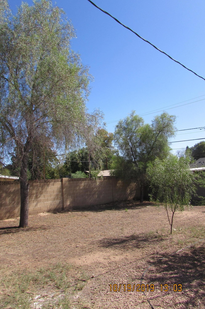 719 W 10th Street - Photo 41