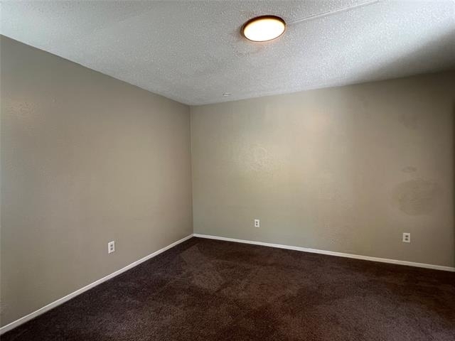 4612 Country Creek Drive - Photo 5