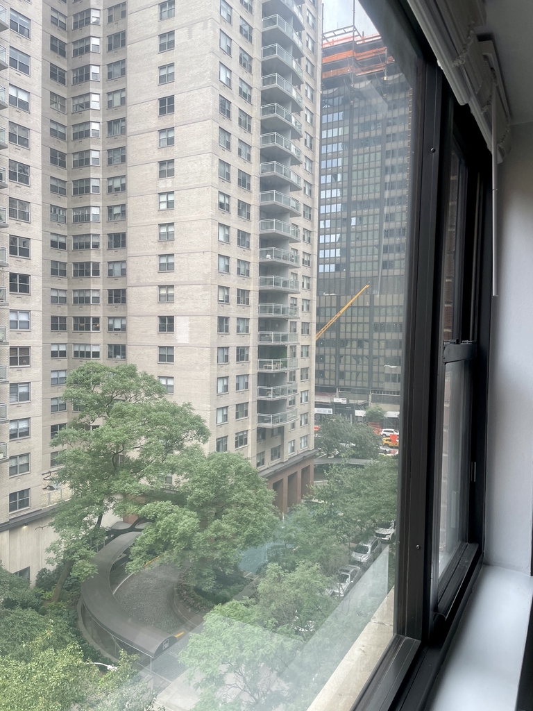 405 East 56th Street, 9L - Photo 2