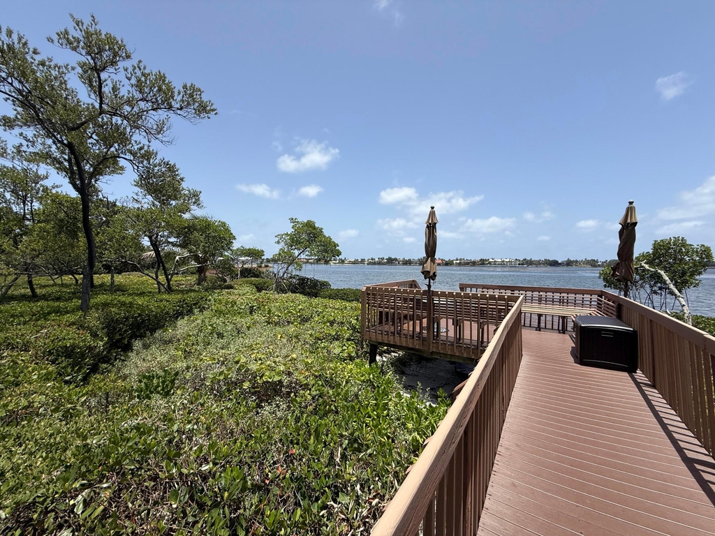225 N Lakeshore Drive - Photo 77