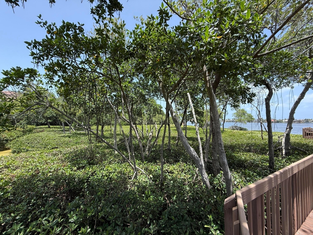 225 N Lakeshore Drive - Photo 74