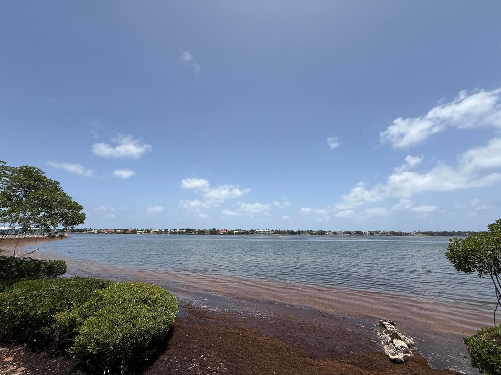 225 N Lakeshore Drive - Photo 78