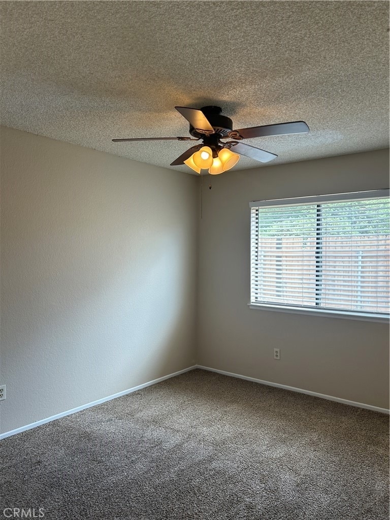 27789 Cloud Dance Court - Photo 19
