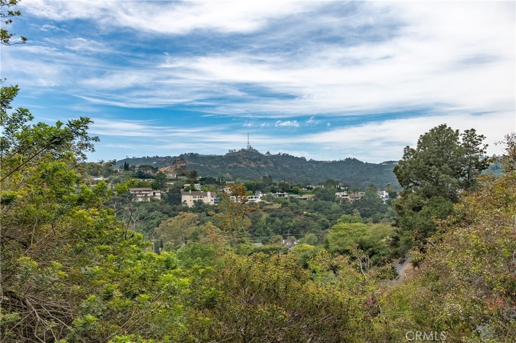 11446 Amanda Drive - Photo 44
