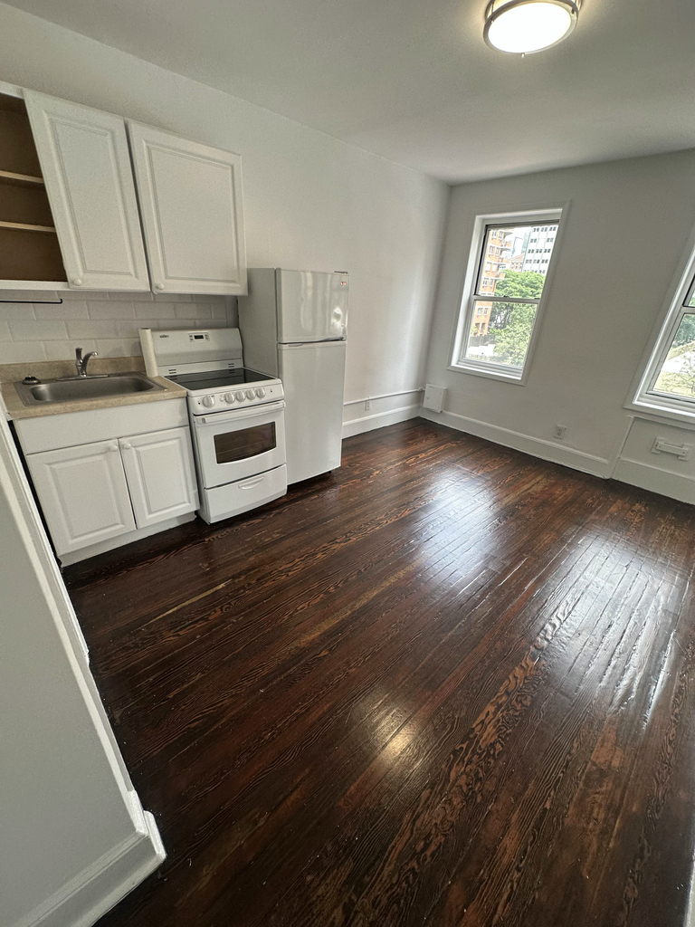 455 2nd Avenue - Photo 1