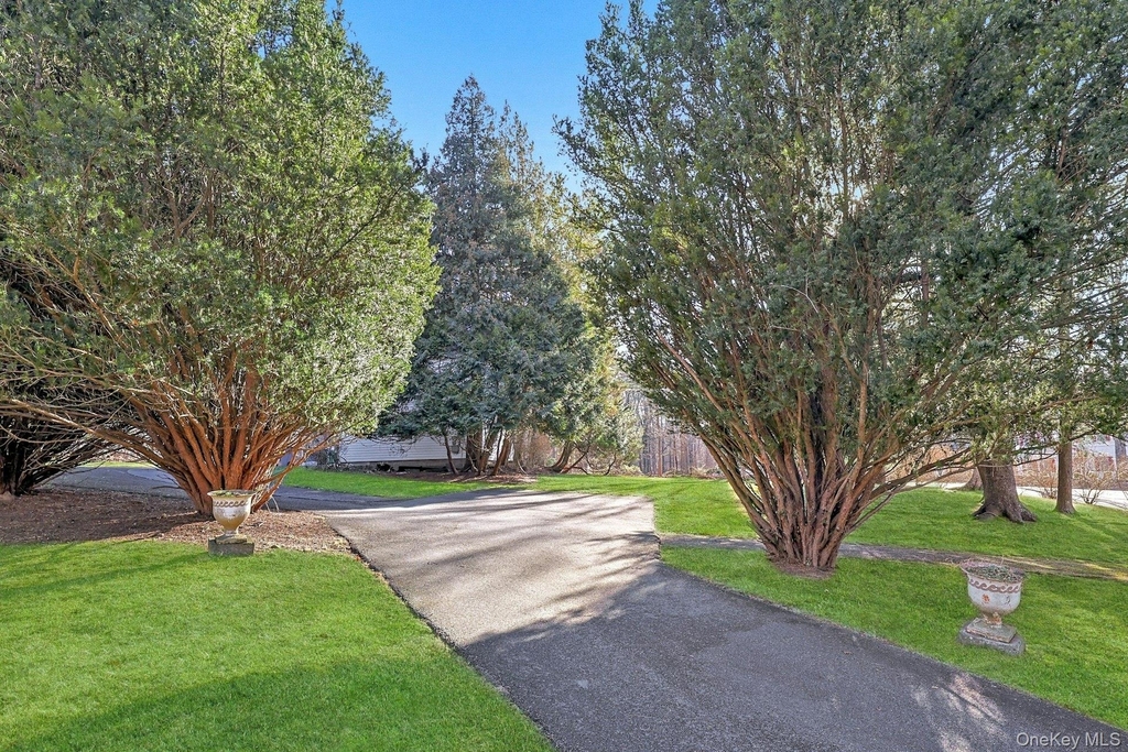 46 Mile Road - Photo 21