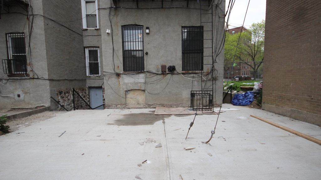 316 Patchen Ave 11233 - Photo 6