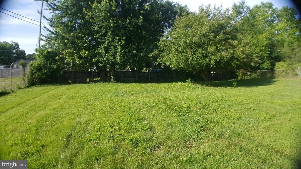 200 Peach Tree Drive - Photo 3