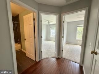 11539 Bertram Street - Photo 16