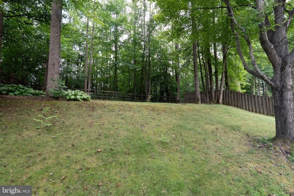 13016 Pilgrims Inn Drive - Photo 43