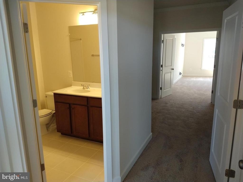 42287 Crawford Terrace - Photo 11