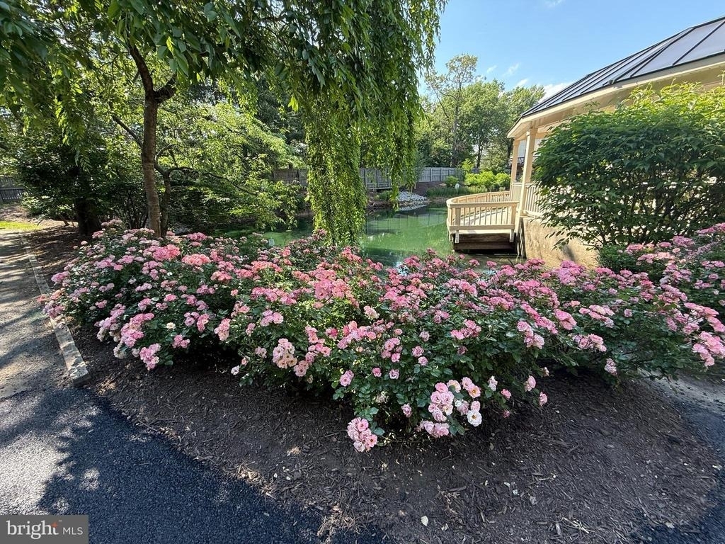 5832 Apsley House Court - Photo 2