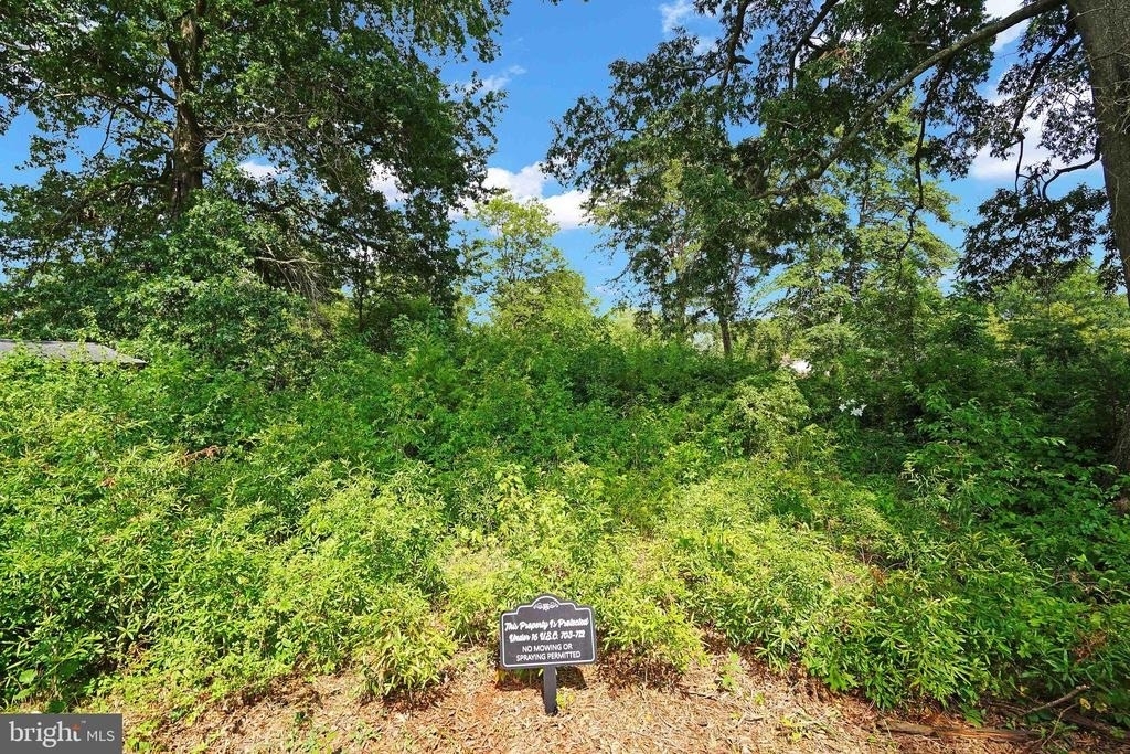 8905 Valley Forge Drive - Photo 29