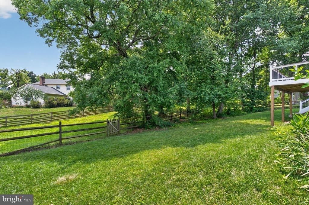 8006 Lady Lewis Court - Photo 29