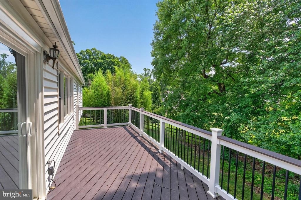 8006 Lady Lewis Court - Photo 9