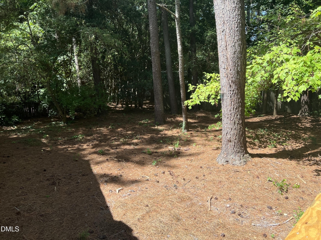 200 Lake Pine Drive - Photo 5
