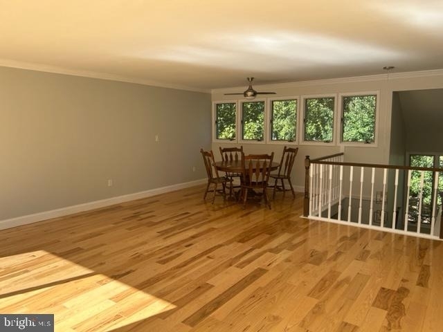 24700 Deepwater Point - Photo 9