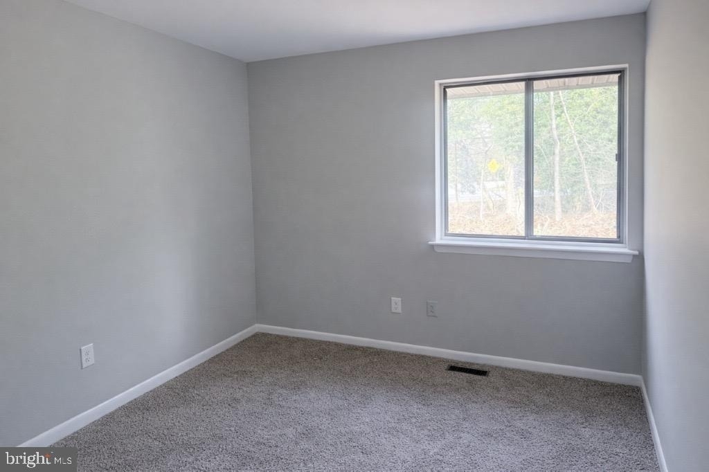 5833 Diggers Lane - Photo 21