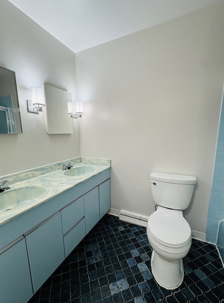 7011 N Hamlin Avenue - Photo 12