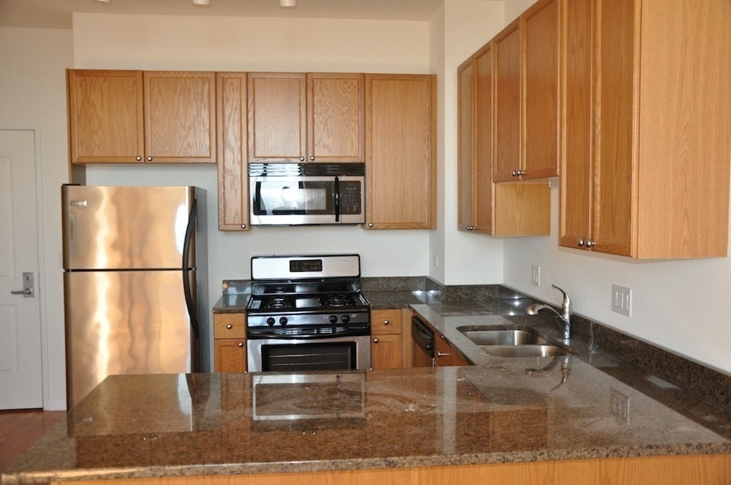1464 S Michigan Avenue - Photo 1